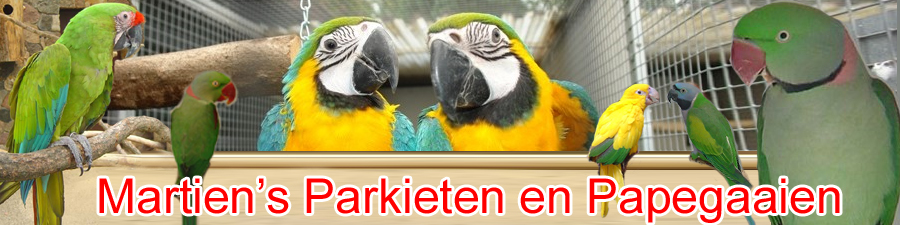 Parkieten en papegaaien in de volière